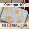 Камагра 100 24